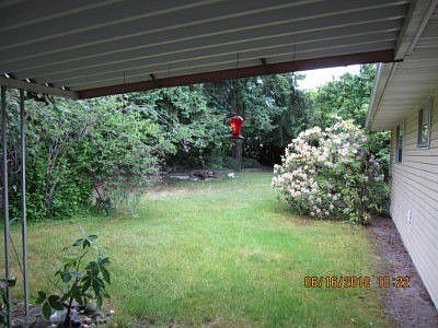 Fenced backyard, with pond.