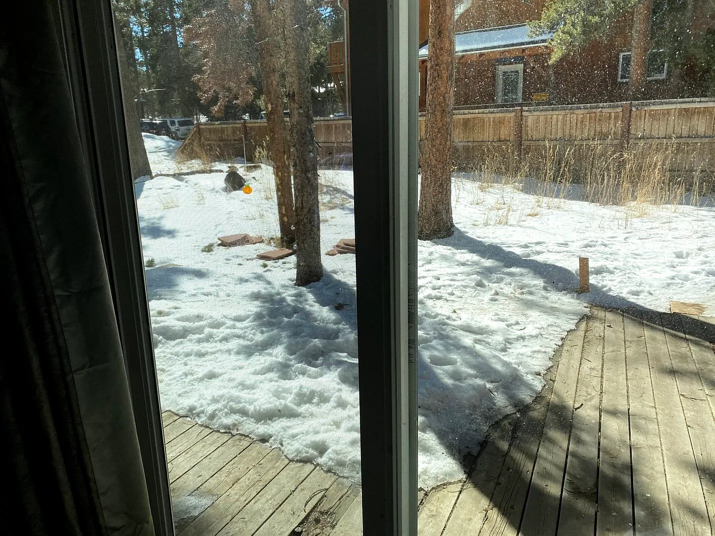 2 bed, 944 sqft, $1,900 — Photo 3