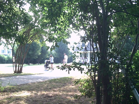 Walkers on Cross Street 