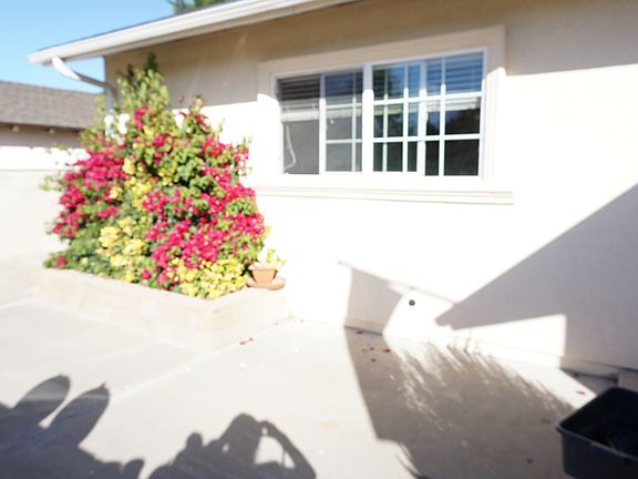2nd image of 239 Stansbury Dr