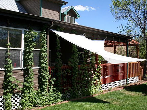 Back yard and porch