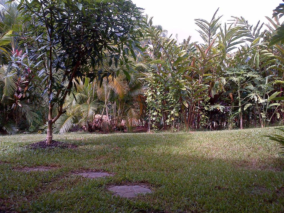 Path to Door