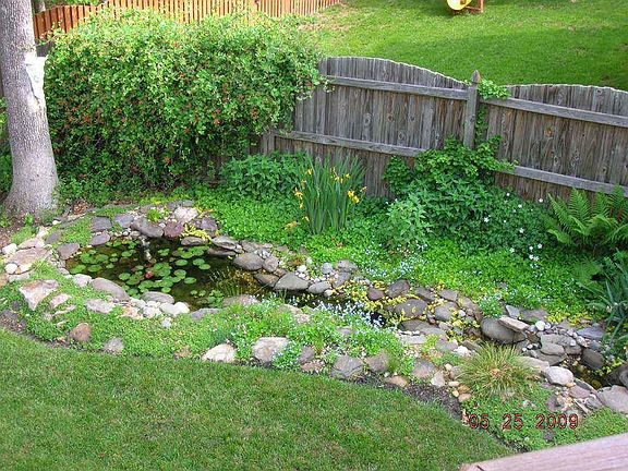 Running stream and pond