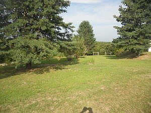 5th image of 9798 Borland Ln