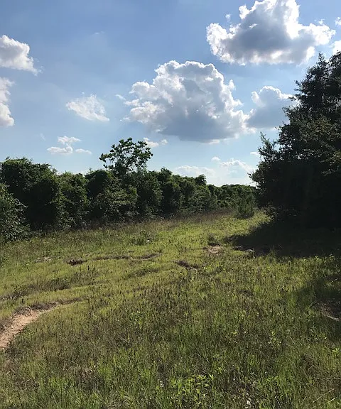 Manuel Rd — Photo 10