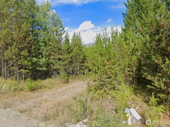 2071 Driskill Road, Newport, WA 99156