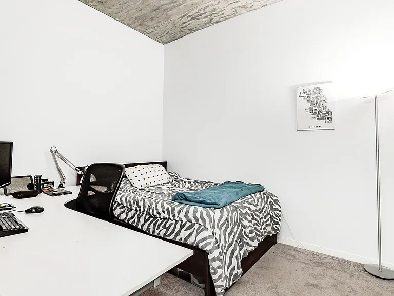 1345 S Wabash Ave #412 — Photo 14