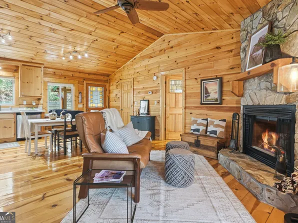 266 Chimney Rock Rd #462, Ellijay, GA 30540