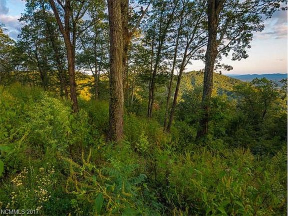 4th image of 227 Serenity Ridge Trl #27