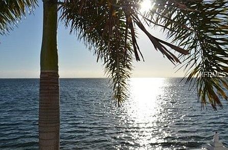 View from Patio