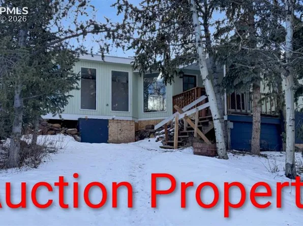 10104 High Rd #67, Divide, CO 80814
