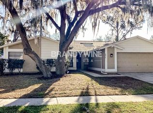 3914 Bell Grande Dr, Valrico, FL 33596