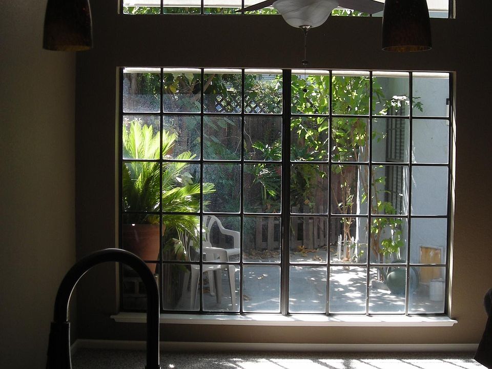 View from kitchen 