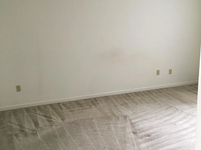 2024 Arbor Ridge Ct — Photo 3