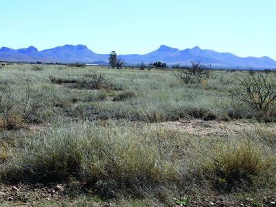 N San Louis Rey Dr #305, Douglas, AZ, 85607