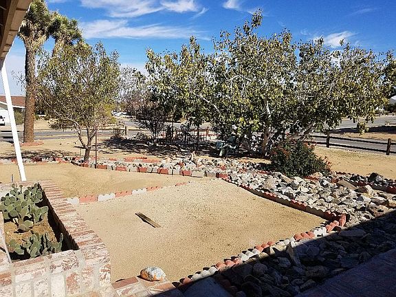Many Fruit & Almond Trees