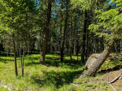 Nhn Rocky Point Rd, Kalispell, MT, 59901