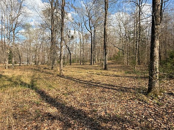 2nd image of 37 Shadow Creek Loop