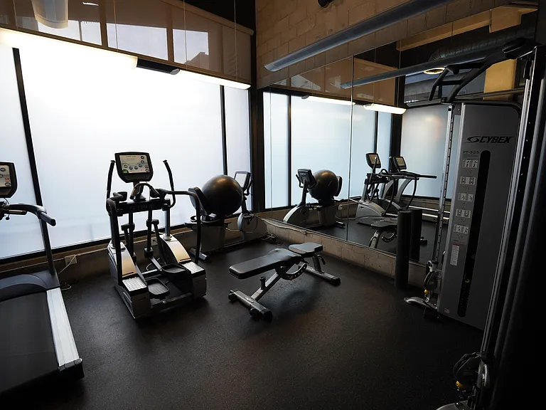 small shared gym area with machines and cables, small nearby restroom