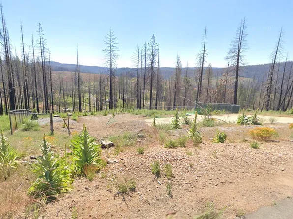 6714 Tyler Dr, Grizzly Flats, CA 95636