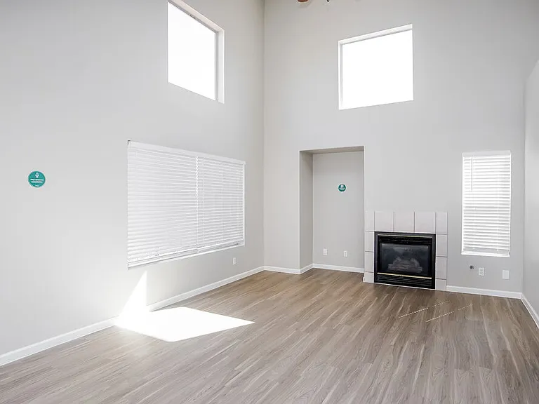 716 Pine Field Ln — Photo 5