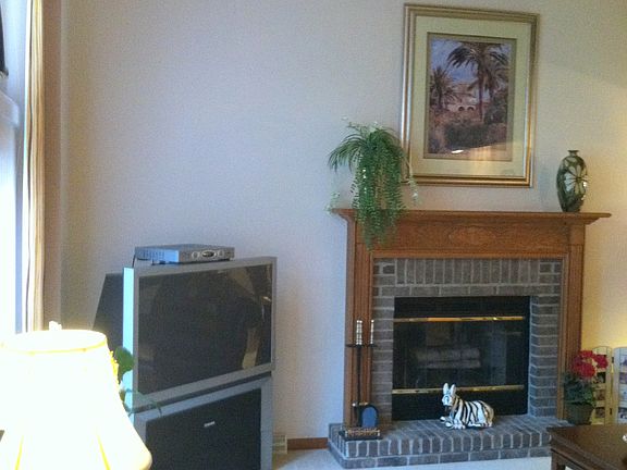 Woodburning Fireplace