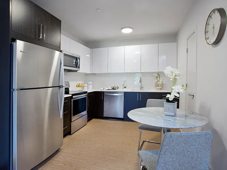 Euro-style Kitchens feature Quartz Countertops and Stainless Steel Appliances