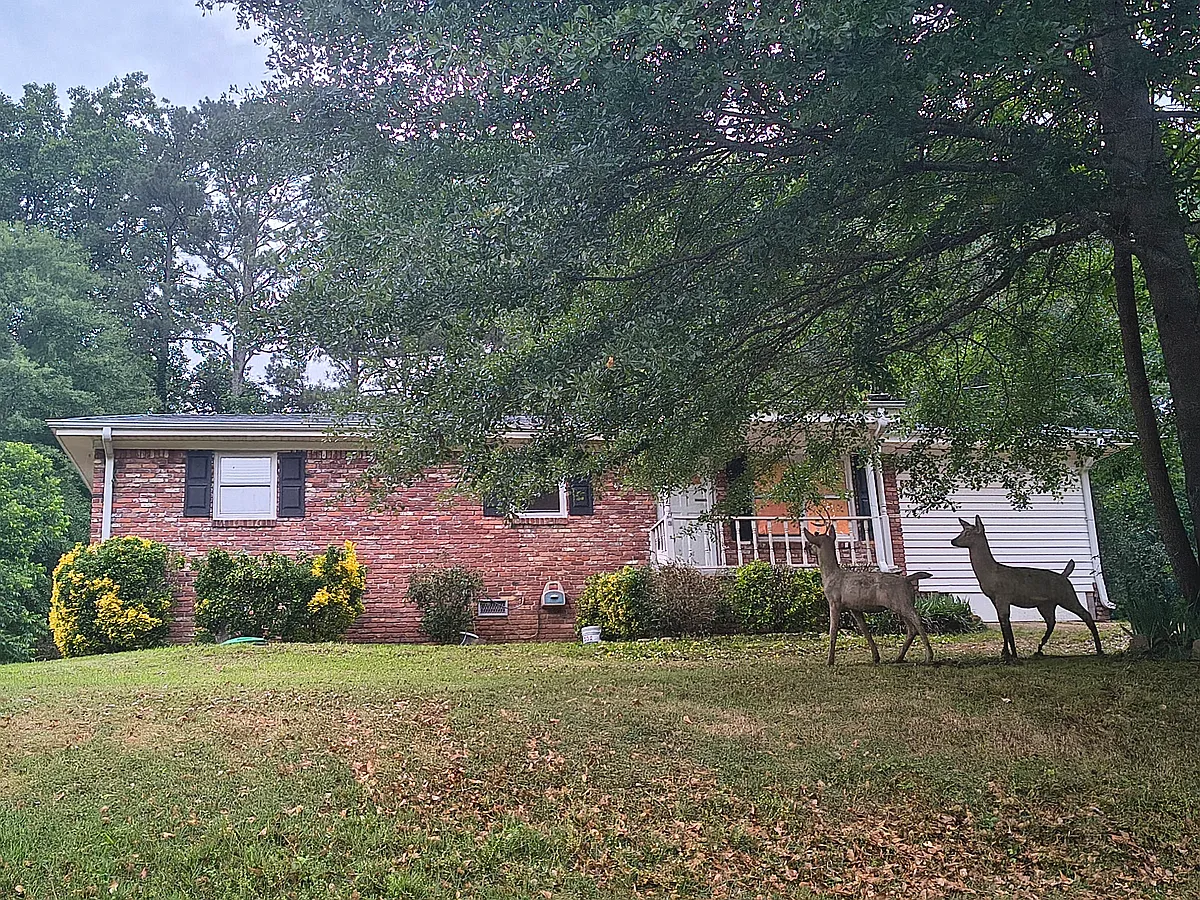Building Photo - 6271 Mountain Ct SE