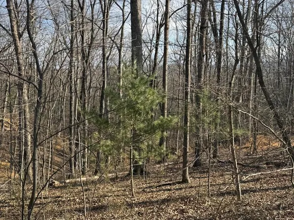 Arrowhead Rd, Front Royal, VA 22630