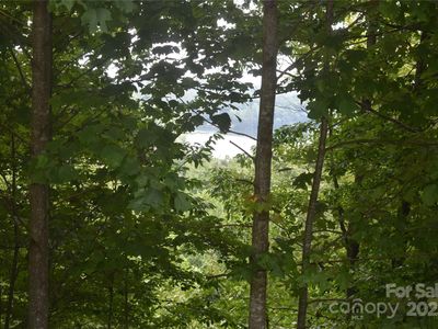 129 Captains Dr #221, Nebo, NC, 28761