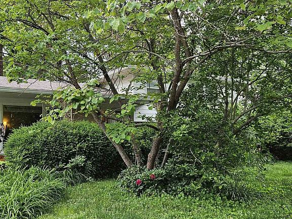 3rd image of 1608 W Briarwood Dr
