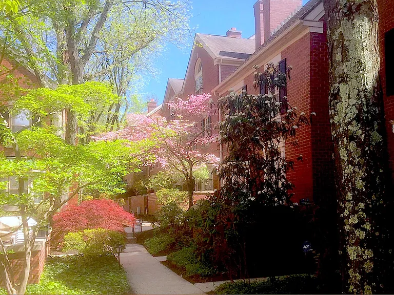 8708 Prospect Ave #C11 — Photo 1