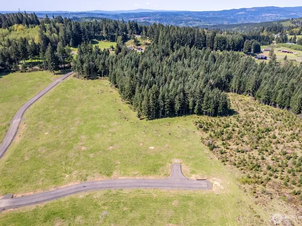 0 Silverwood Drive Lot I, Castle Rock, WA 98611