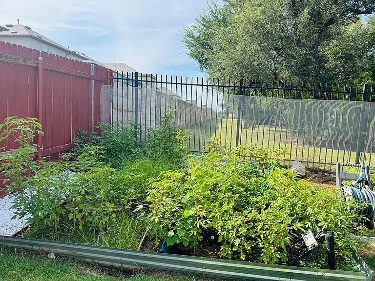 113 Queen Anne Dr — Photo 62