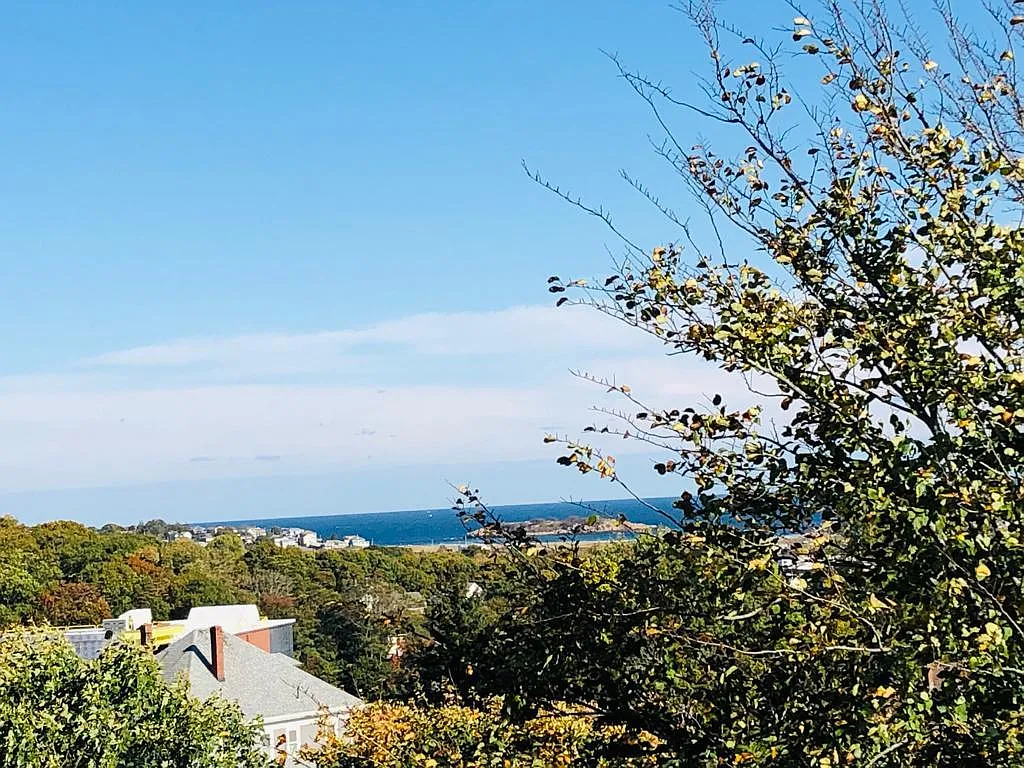 2 bed, 900 sqft, $2,450 — Photo 3