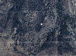 28 Butte Creek Rd, Adin, CA 96006