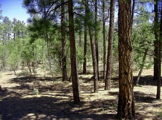 480 W Sierra Pines Dr, Show Low, AZ 85901