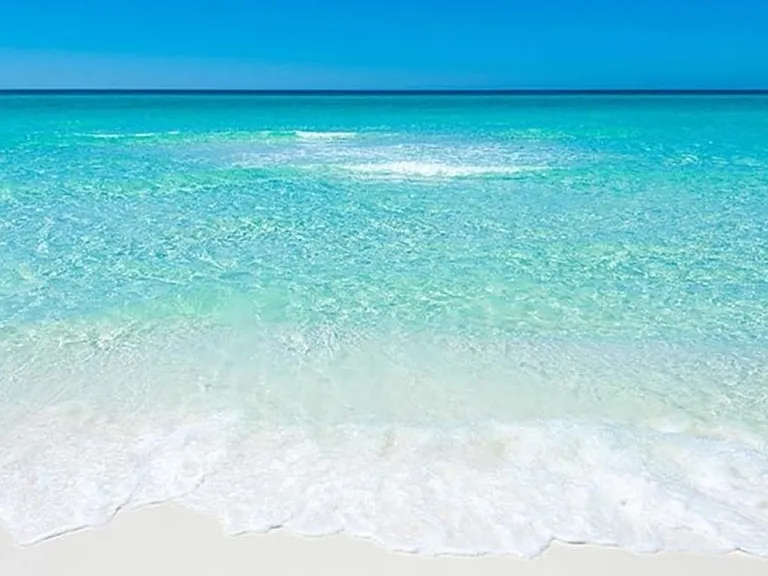 Window View