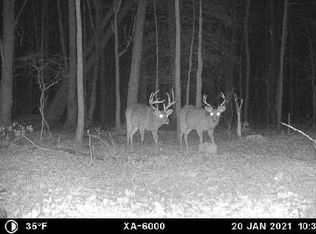 Route 50, Ocean City, MD 21842