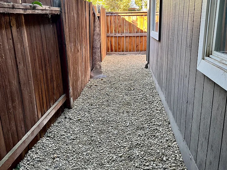 Side Yard