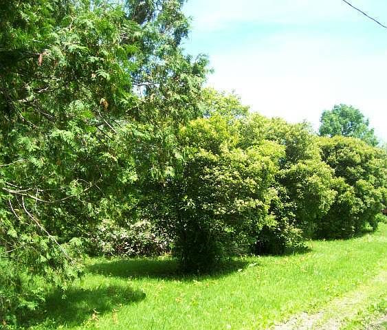 2nd image of 1777 Goodwin Rd