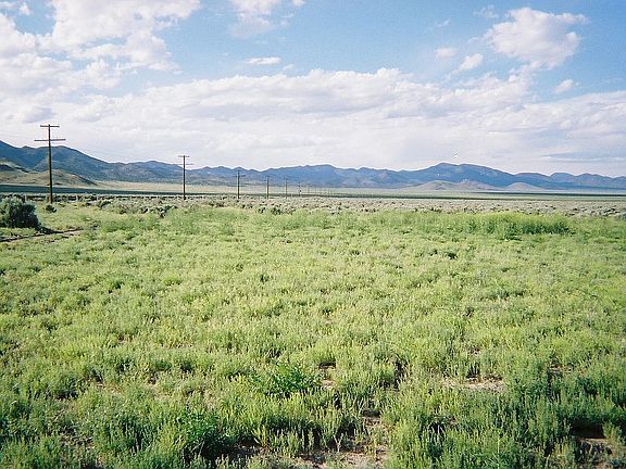 4th image of 3888 Valley Ranchos #5