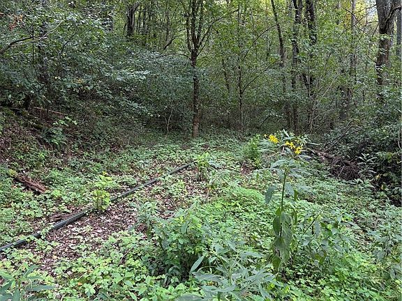 2nd image of State Route 145
