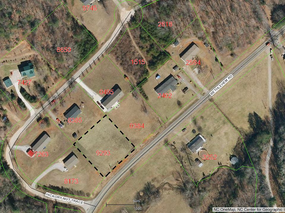 2nd image of Hickory Nut Trce