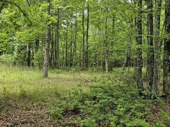 2 Lake Trl, Dunlap, TN 37327