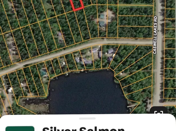 48956 S Silver Salmon Dr, Talkeetna, AK 99676