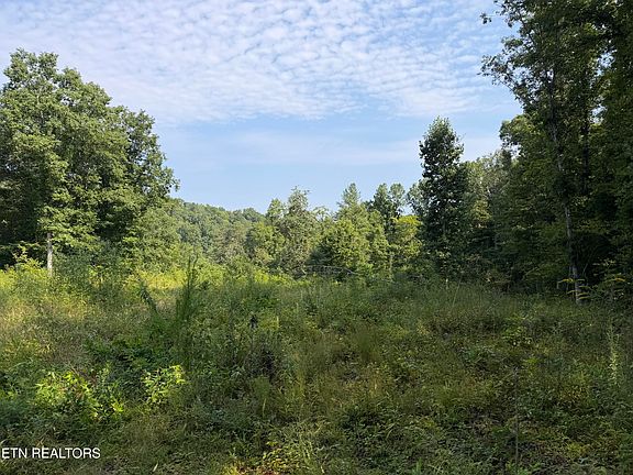 2nd image of Skull Creek Rd