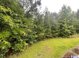 3829 Gillespie Ln, Effingham, SC 29541