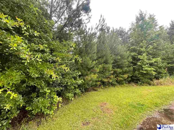 3829 Gillespie Ln, Effingham, SC 29541