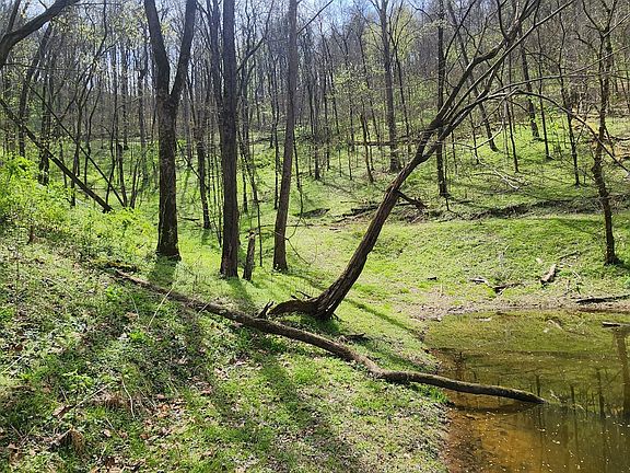 2nd image of 0 Chapman Hollow Rd